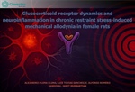 Dra. Janet Murbartián - Glucocorticoid receptor dynamics and neuroinflammation in chronic restraint stress-induced mechanical allodynia in female rats
