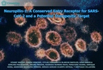 Dr. Enrique Hong - Neuropilin-1: A Conserved Entry Receptor for SARS-CoV-2 and a Potential Therapeutic Target