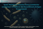 Dra. Claudia González - Outer Membrane Vesicles from Caulobacter crescentus: A Platform for Recombinant Antigen Presentation
