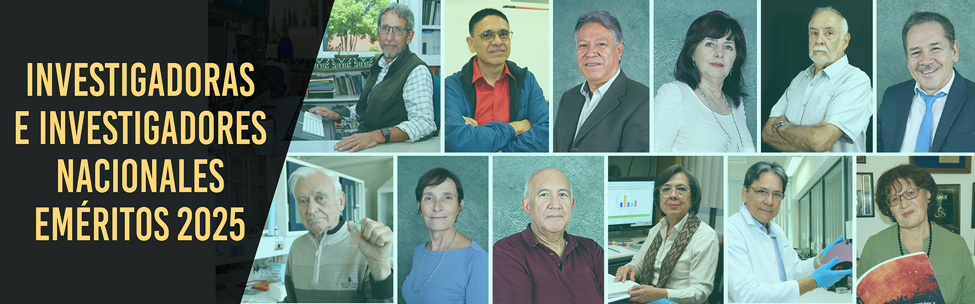 Investigadores Nacionales Eméritos