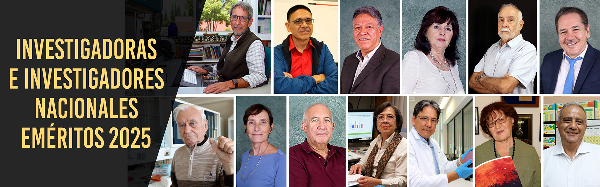 Investigadores Nacionales Eméritos