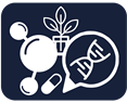 Altered β-Adrenergic System, Cardiac Dysfunction, and Lethal Arrhythmia in a Rat Model of Metabolic Syndrome
