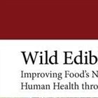 Nuevo libro internacional: WILD EDIBLE PLANTS - Improving Food's Nutritional Value and Human Health through Biotechnology