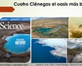 Microbios revelan el declive de un ecosistema único de Cuatro Ciénegas impactado por la agricultura