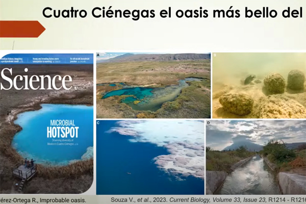 Microbios revelan el declive de un ecosistema único de Cuatro Ciénegas impactado por la agricultura