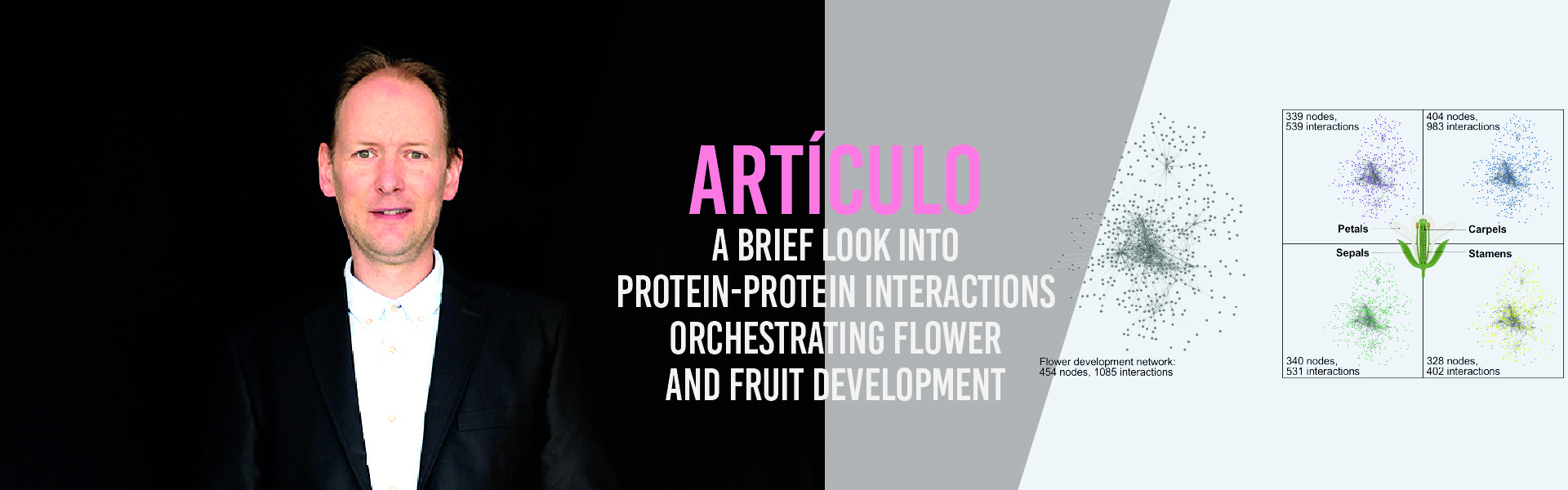 A brief look into protein-protein interactions orchestrating flower and fruit development