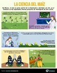 La ciencia del maíz
