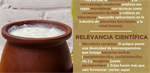 Pulque