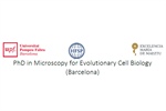 PhD in Microscopy for Evolutionary Cell Biology (Barcelona)