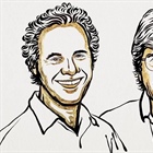 El Premio Nobel de Medicina 2024: Los microARNs, interruptores maestros de la expresión génica y sus aplicaciones potenciales en la medicina moderna