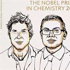El Nobel de Química 2024: Una revolución en la predicción de la estructura de proteínas