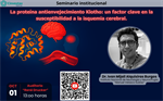 La proteína antienvejecimiento Klotho: un factor clave en la susceptibilidad a la isquemia cerebral.