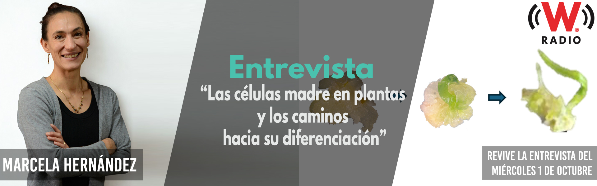Entrevista a Marcela Hernández Coronado
