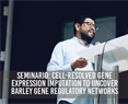Seminario: Cell-resolved gene expression imputation to uncover barley gene regulatory networks