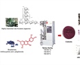 Agavins from Agave potatorum: A low-calorie encapsulant for spray drying of anthocyanins