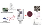 Agavins from Agave potatorum: A low-calorie encapsulant for spray drying of anthocyanins