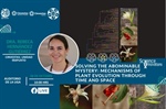 Seminario: "Solving the abominable mystery: mechanisms of plant evolution through time and space"