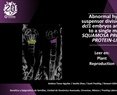 Abnormal hypophyseal and suspensor divisions in Arabidopsis dcl1 embryos are not attributable to a single miR156-targeted SQUAMOSA PROMOTER BINDING PROTEIN-LIKE (SPL) gene, but likely involve redundan