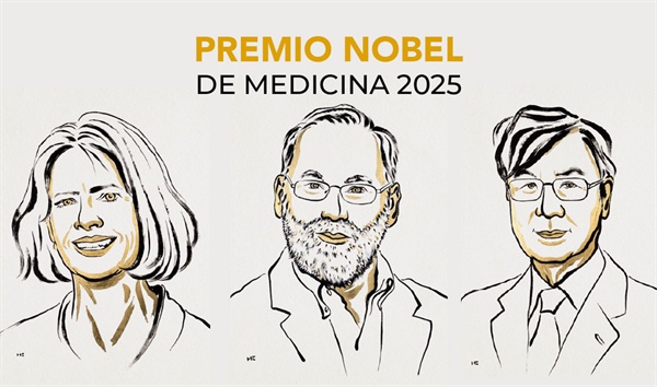 El premio Nobel de Fisiología o Medicina 2025