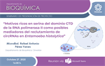 MicroBiol. Rafael Antonio Pérez Yanes