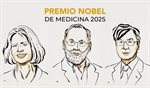 El premio Nobel de Fisiología o Medicina 2025