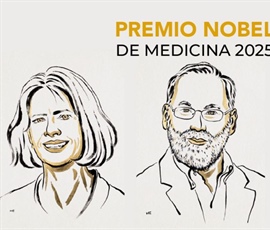 El premio Nobel de Fisiología o Medicina 2025
