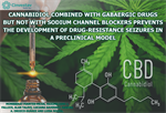 Cannabidiol combined with GABAergic drugs but not with sodium channel blockers prevents the development of drug-resistance seizures in a preclinical model