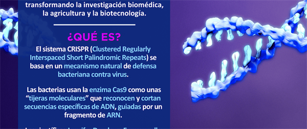 Día Mundial del CRISPR