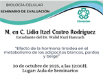 Seminario de Evaluación Lidia Itzel Castro Rodríguez