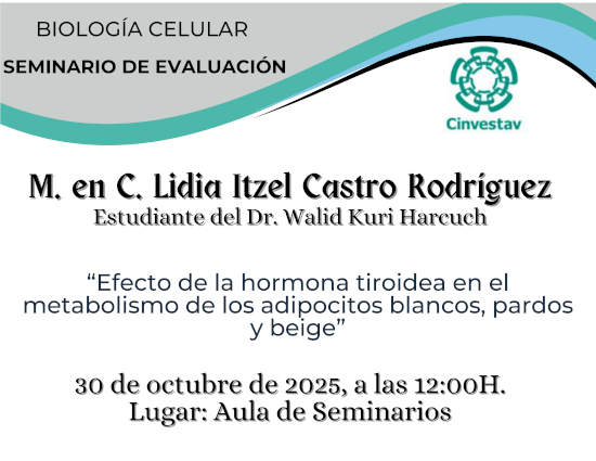 Seminario de Evaluación Lidia Itzel Castro Rodríguez