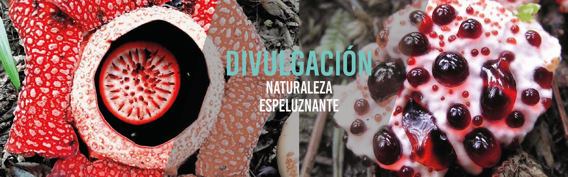 Naturaleza espeluznante