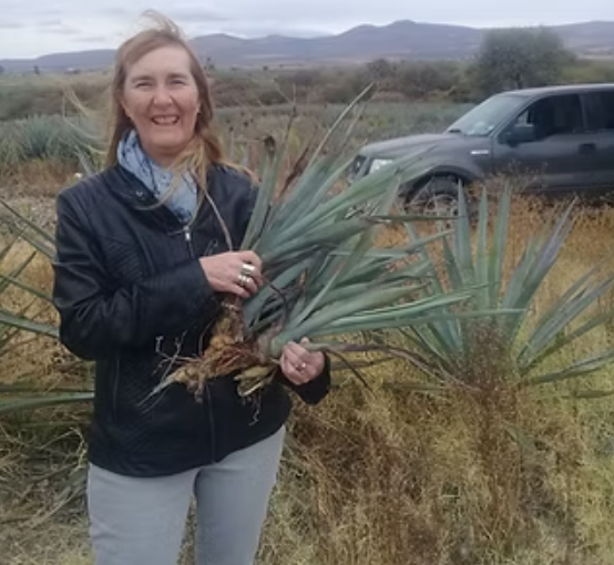 Simposio Internacional de Agave (ISA) dentro de la temática "Ciencia y...