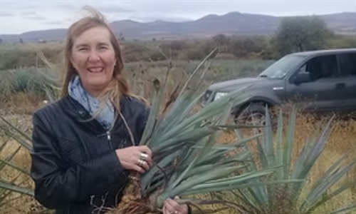 Simposio Internacional de Agave (ISA) dentro de la temática "Ciencia y...
