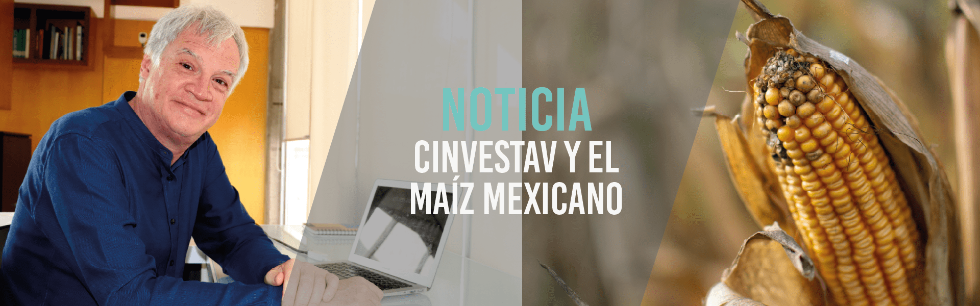 Cinvestav y el maíz mexicano