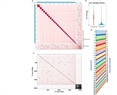 The chromosome-level genome assembly of the slug Deroceras laeve facilitates its use as a comparative model of regeneration
