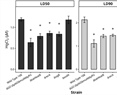 Bacillus subtilis Response to Mercury Toxicity: A Defense Mediated by Sulphur-Rich Molecules and Oxidative Prevention Systems