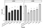 Bacillus subtilis Response to Mercury Toxicity: A Defense Mediated by Sulphur-Rich Molecules and Oxidative Prevention Systems