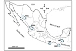 Population Dynamics of Plasmodium vivax in Mexico Determined by CSP, Pvs25, and SSU 18S rRNA S-Type Polymorphism Analyses