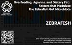 Overfeeding, Agavins, and Dietary Fat: Factors that Modulate the Zebrafish Gut Microbiota
