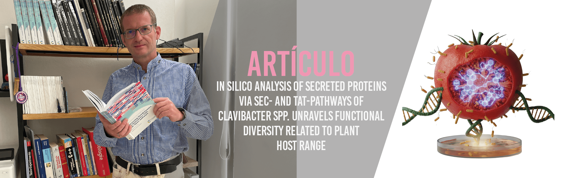 In silico analysis of secreted proteins via Sec- and Tat-pathways of Clavibacter spp. unravels functional diversity related to plant host range