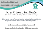 Examen de Doctorado M. en C. Lucero Ruiz Mazón