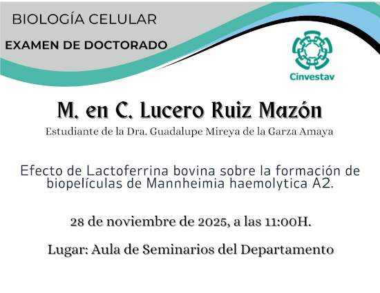 Examen de Doctorado M. en C. Lucero Ruiz Mazón