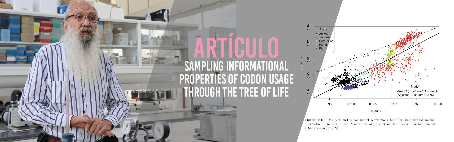 Sampling informational properties of codon usage through the tree of life