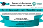 Examen de Doctorado