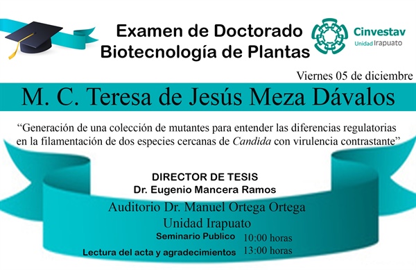 Examen de Doctorado