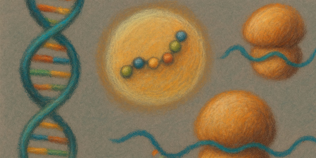 Explorando el universo oculto de los ARN: el fascinante mundo de los...