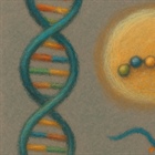 Explorando el universo oculto de los ARN: el fascinante mundo de los micropéptidos