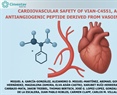 Cardiovascular Safety of VIAN‐c4551, an Antiangiogenic Peptide Derived From Vasoinhibin