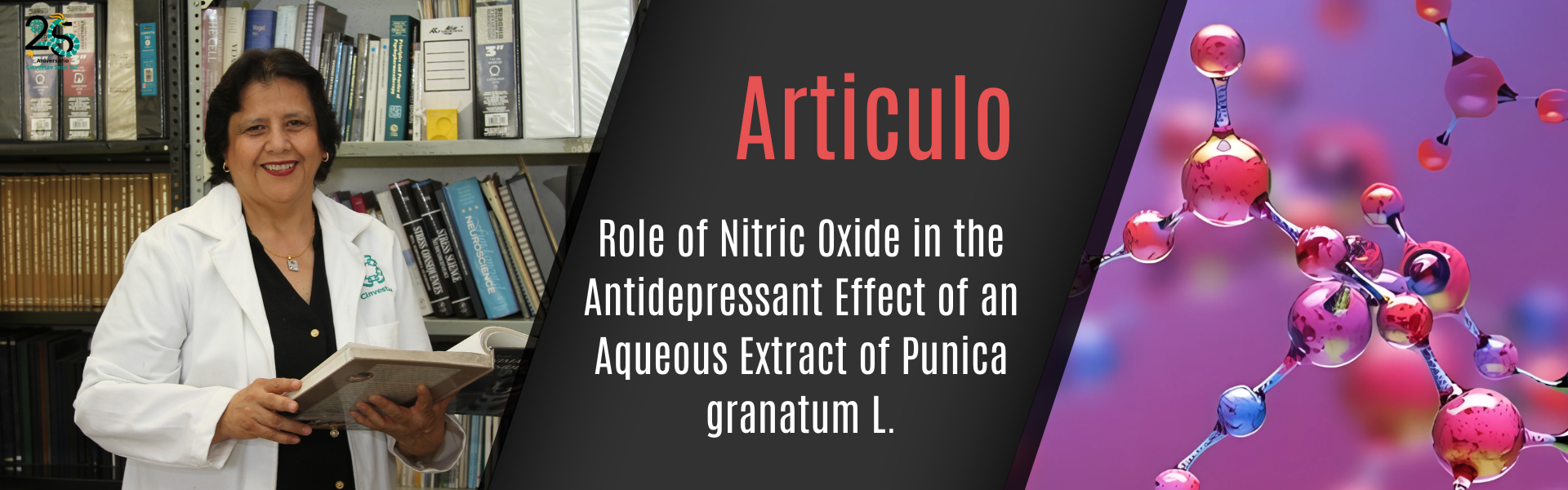 Role of Nitric Oxide in the Antidepressant Effect of an Aqueous Extract of Punica granatum L.: Effects on GSH/GSSG Ratio and Lipoperoxidation in Adult Male Swiss Webster Mice