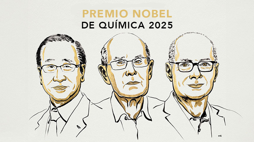 El Premio Nobel de Química 2025: el arte de la arquitectura molecular